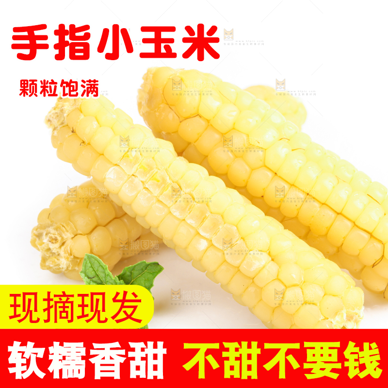 白底上的手指糯玉米