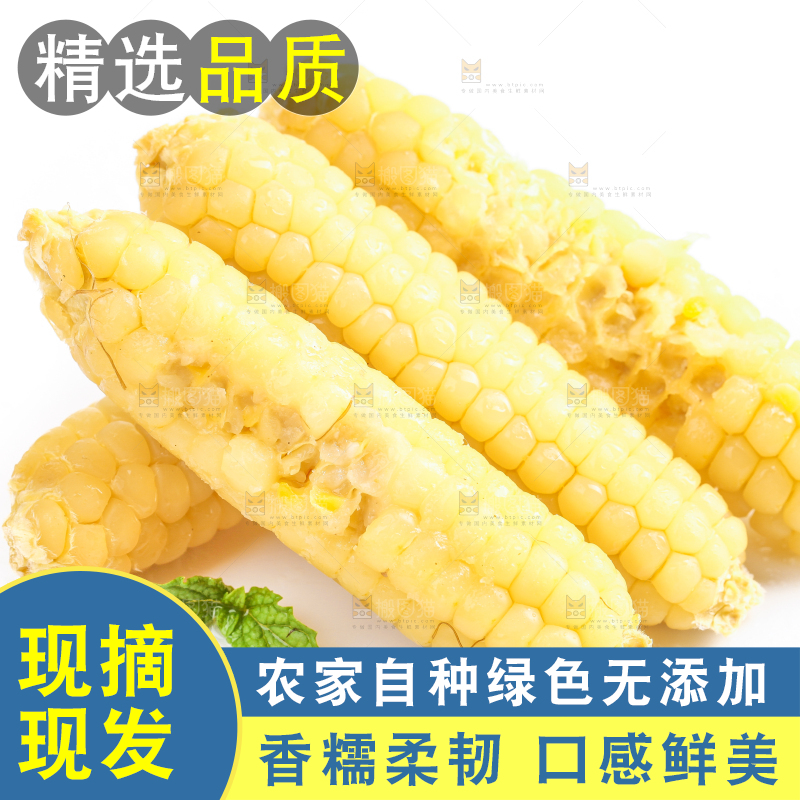 白底上的手指糯玉米