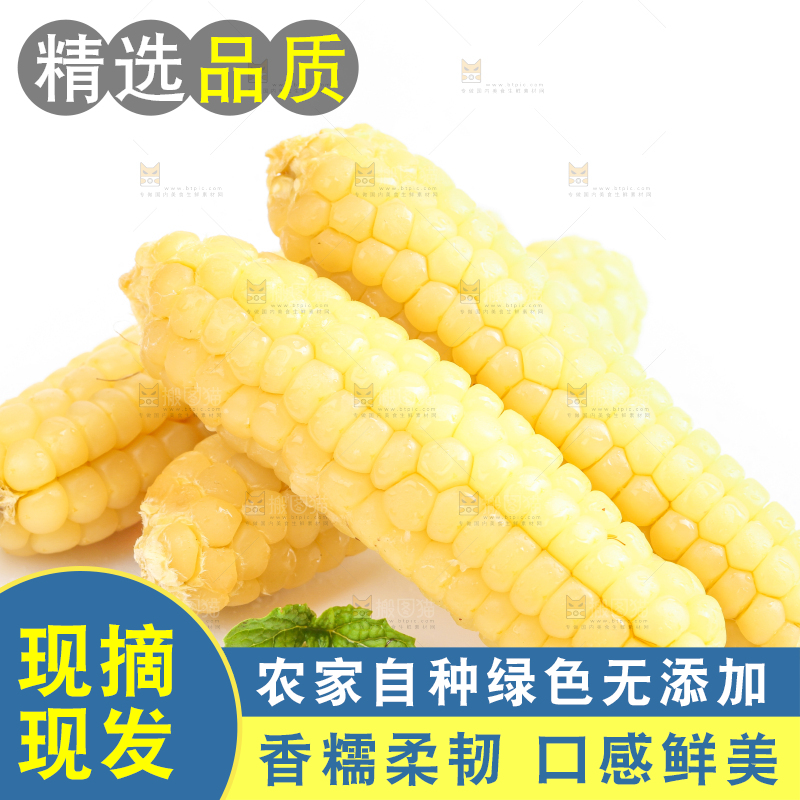 白底上的手指糯玉米