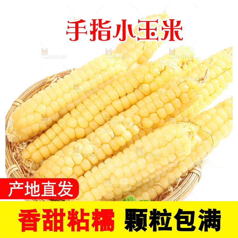 白底上的手指糯玉米