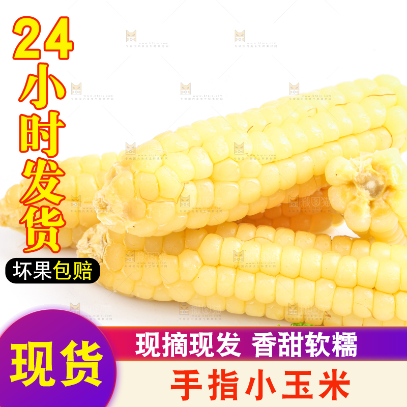白底上的手指糯玉米