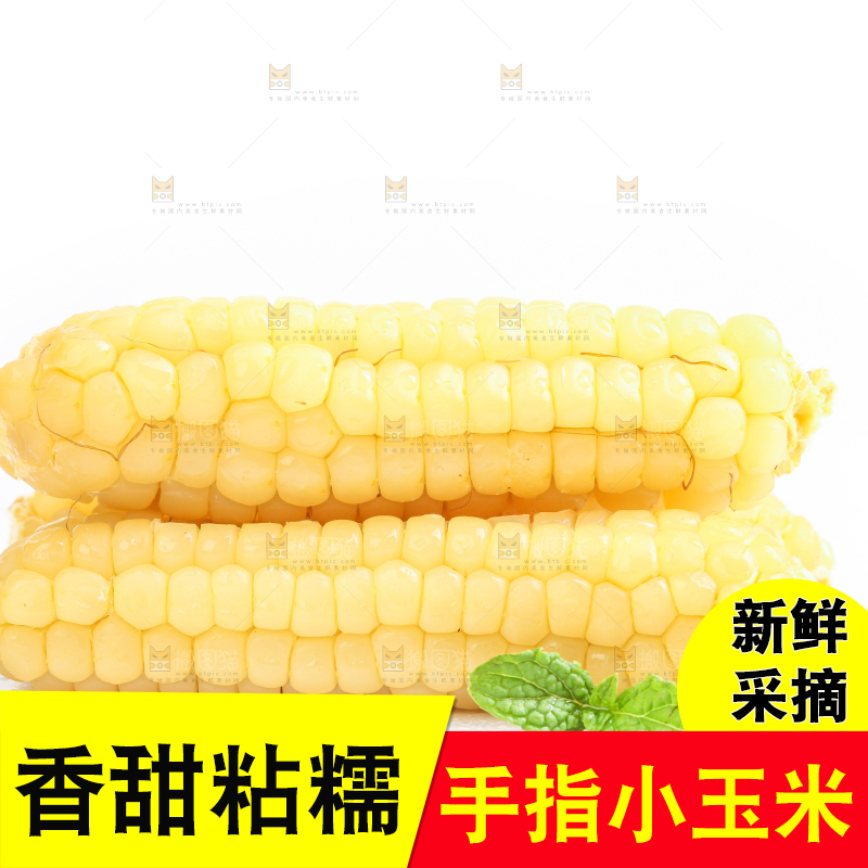 白底上的手指糯玉米