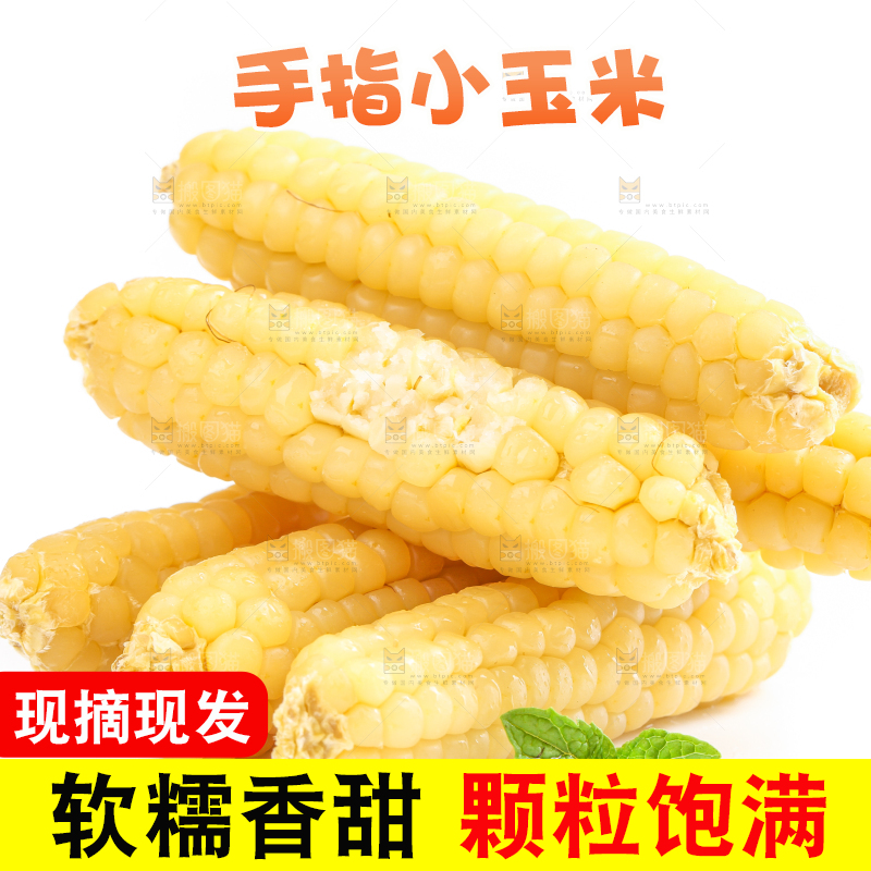 白底上的手指糯玉米