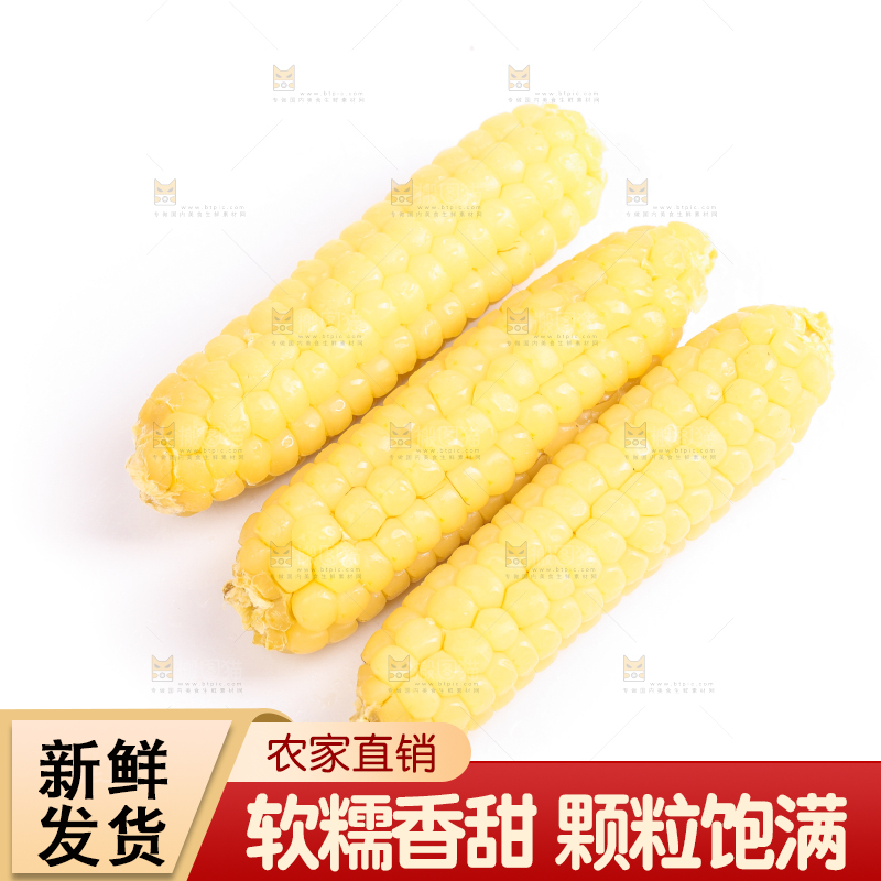 白底上的手指糯玉米
