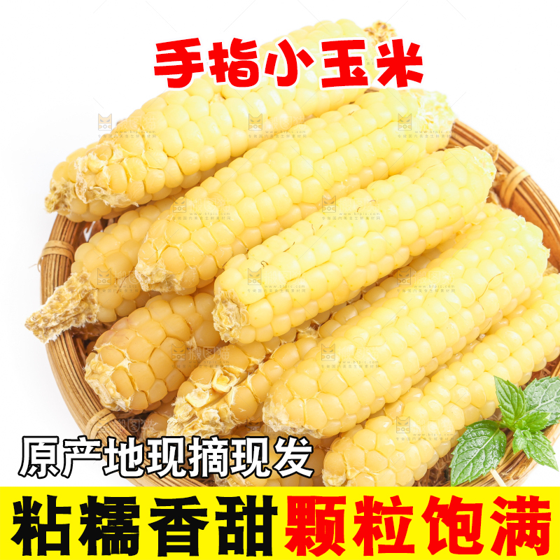 白底上的手指糯玉米
