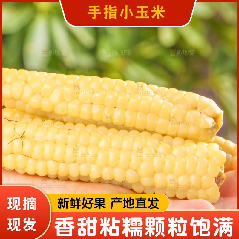 浅底上的手指糯玉米