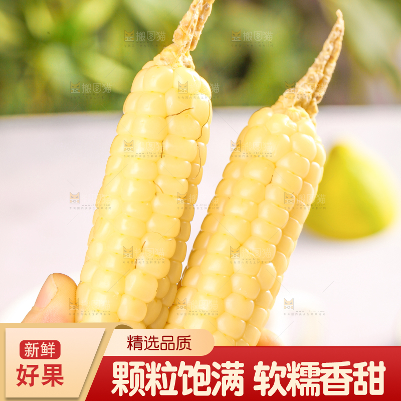 浅底上的手指糯玉米