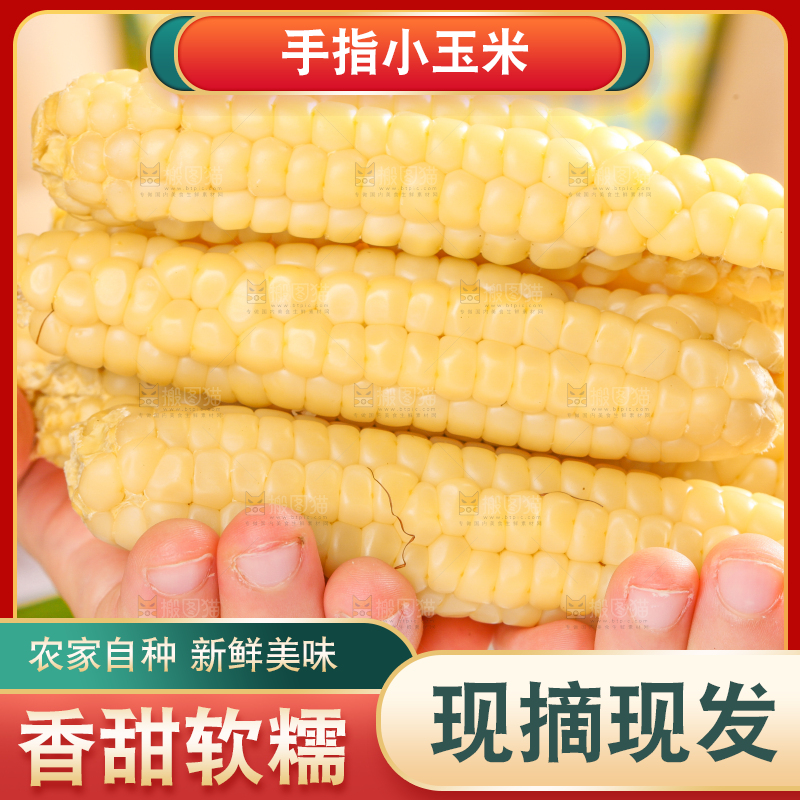 浅底上的手指糯玉米