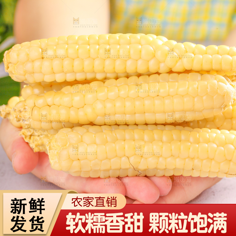 浅底上的手指糯玉米