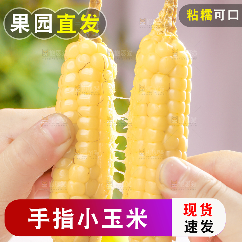 浅底上的手指糯玉米