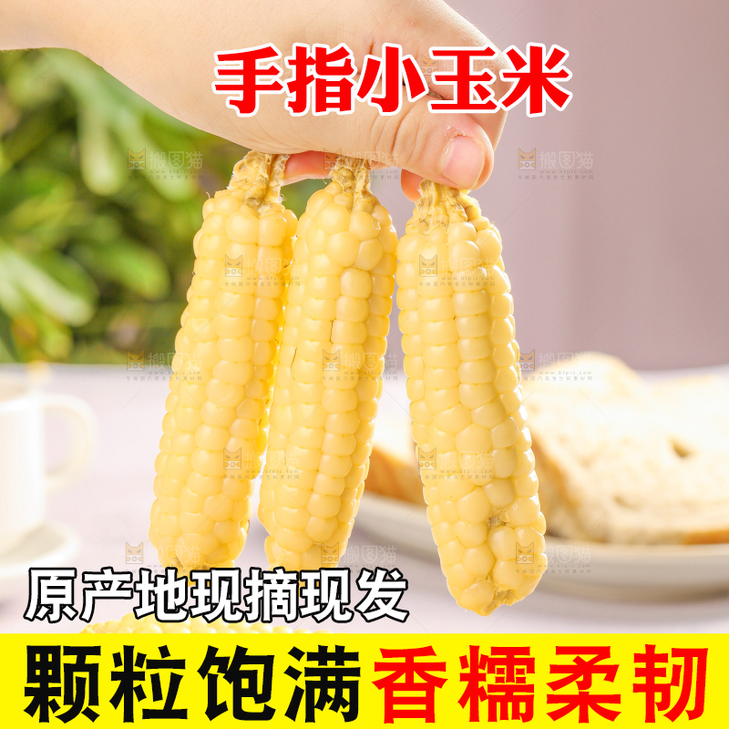 浅底上的手指糯玉米