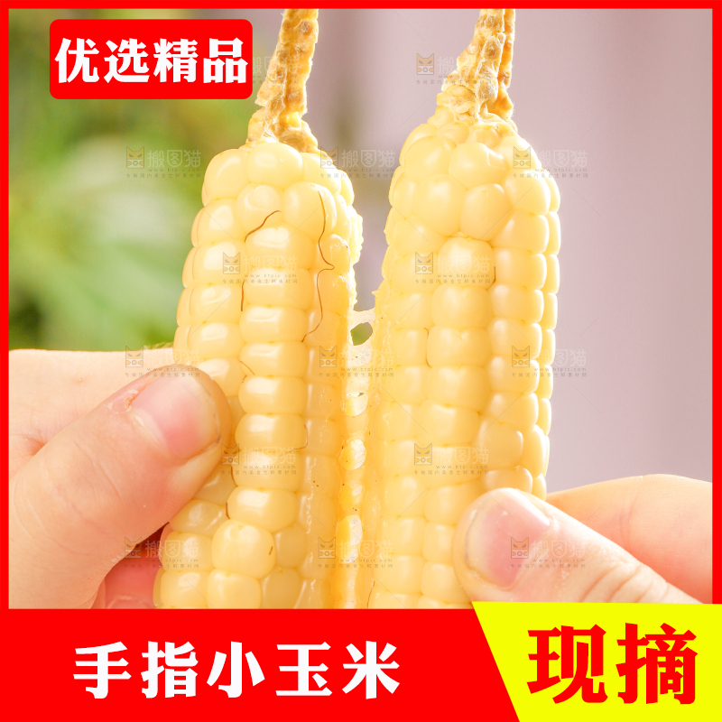 浅底上的手指糯玉米