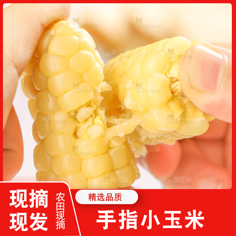 浅底上的手指糯玉米
