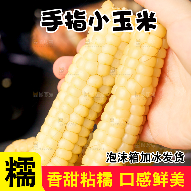 深底上的拇指小玉米