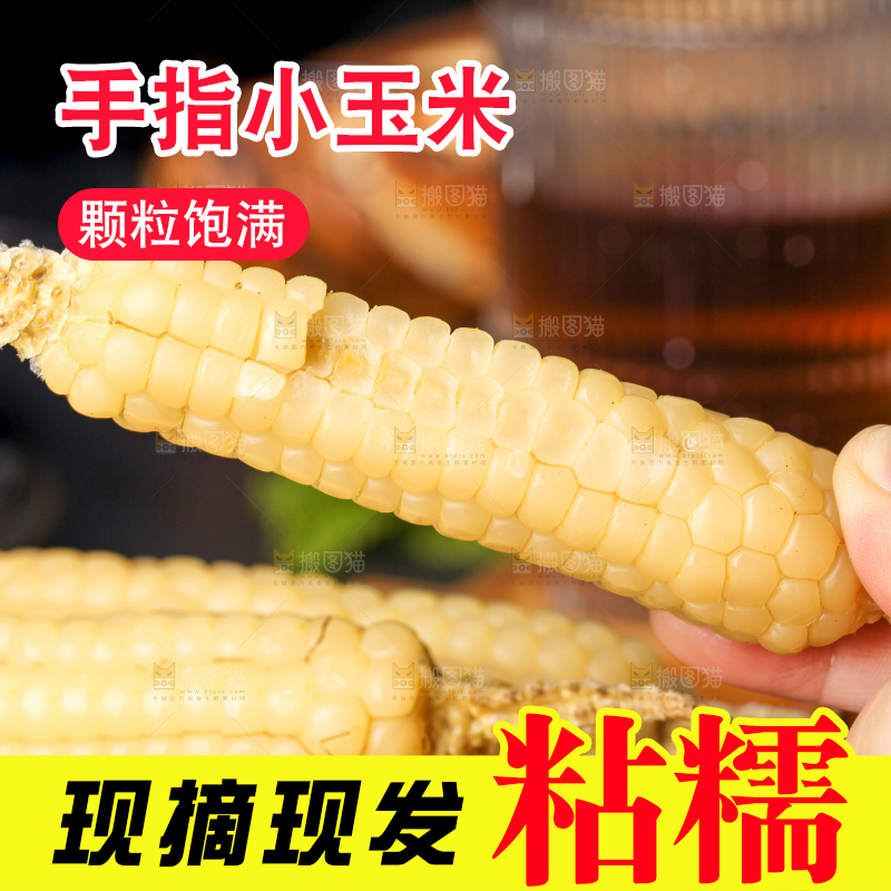 深底上的拇指小玉米