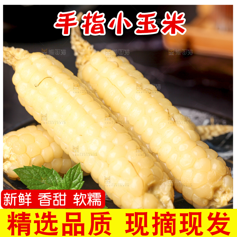深底上的拇指小玉米