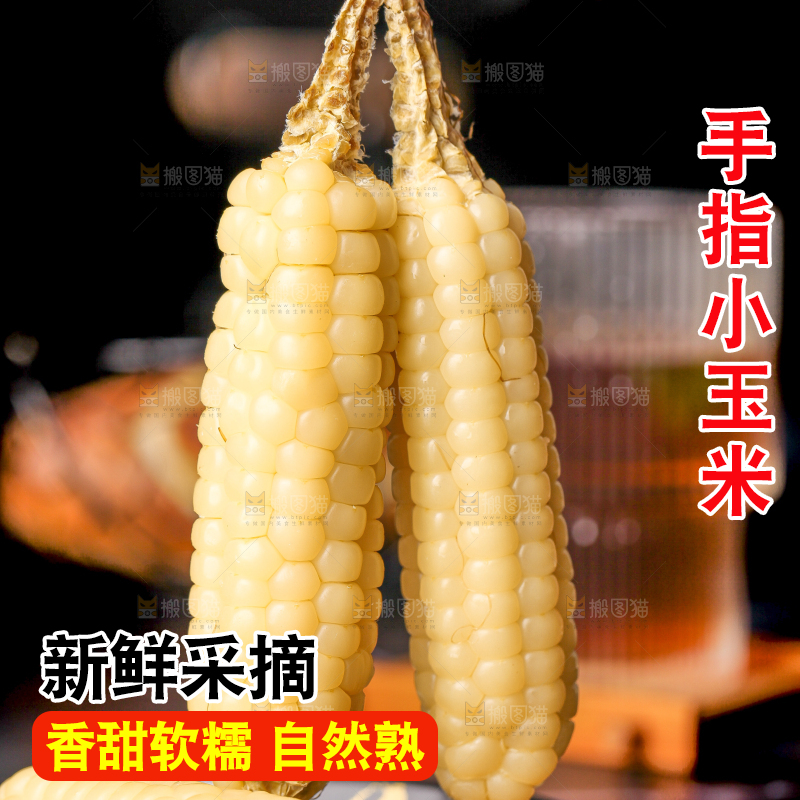 深底上的拇指小玉米