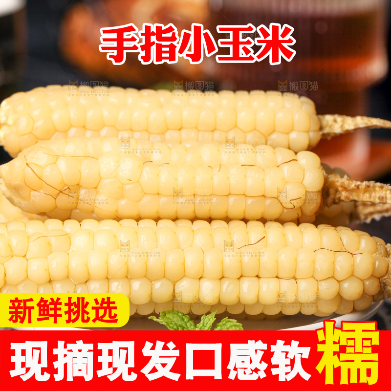 深底上的拇指小玉米