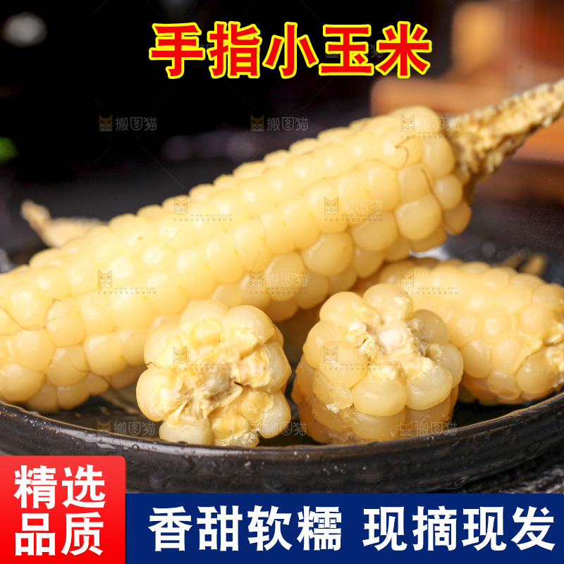 深底上的拇指小玉米