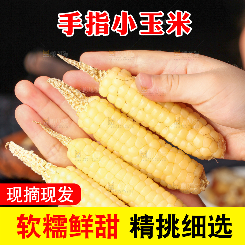 深底上的拇指小玉米