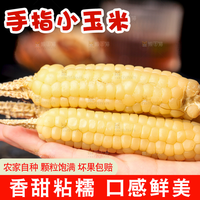 深底上的拇指小玉米
