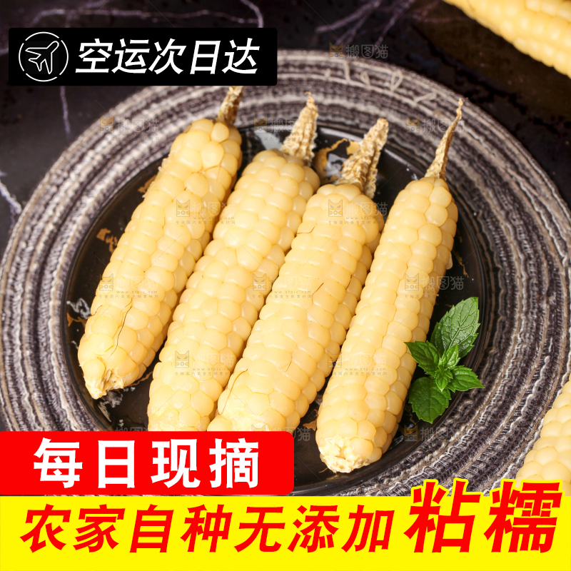 深底上的拇指小玉米
