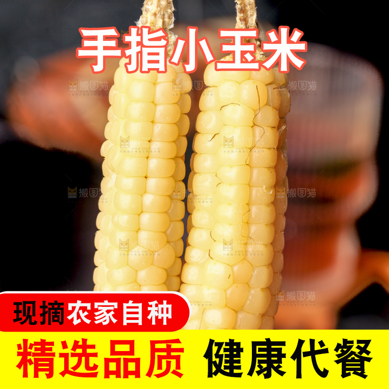 深底上的拇指小玉米