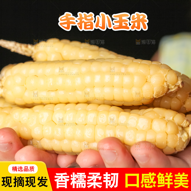 深底上的拇指小玉米