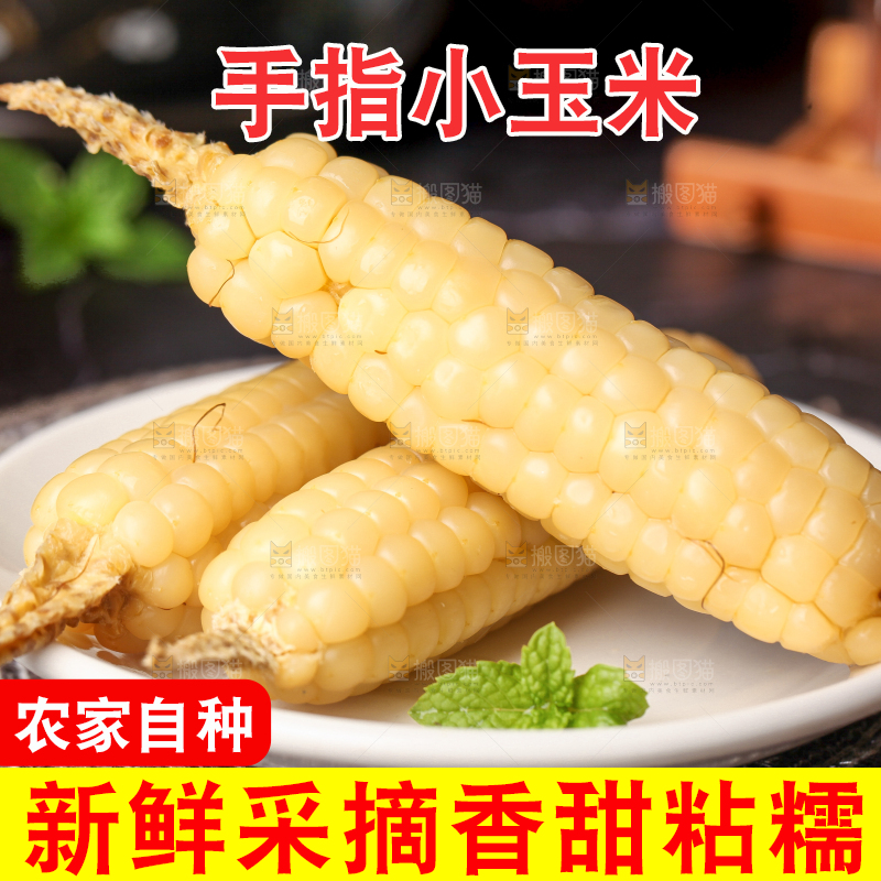 深底上的拇指小玉米
