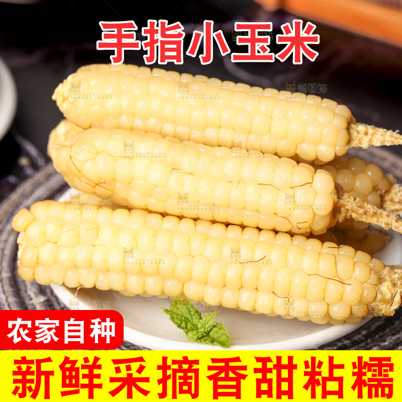 深底上的拇指小玉米
