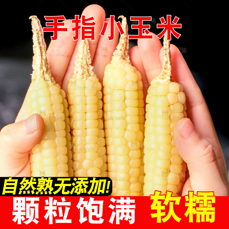 深底上的拇指小玉米