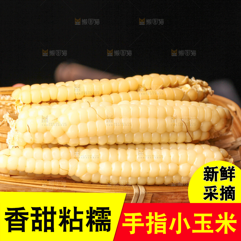 深底上的拇指小玉米