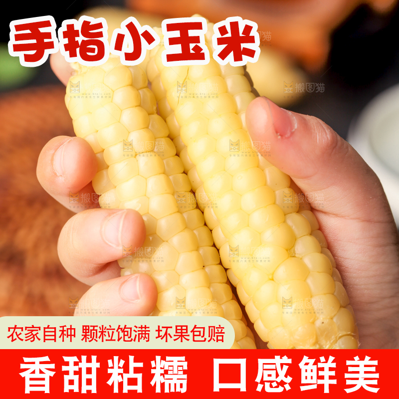 深底上的拇指小玉米