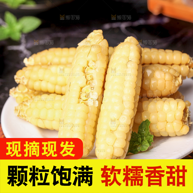 深底上的拇指小玉米