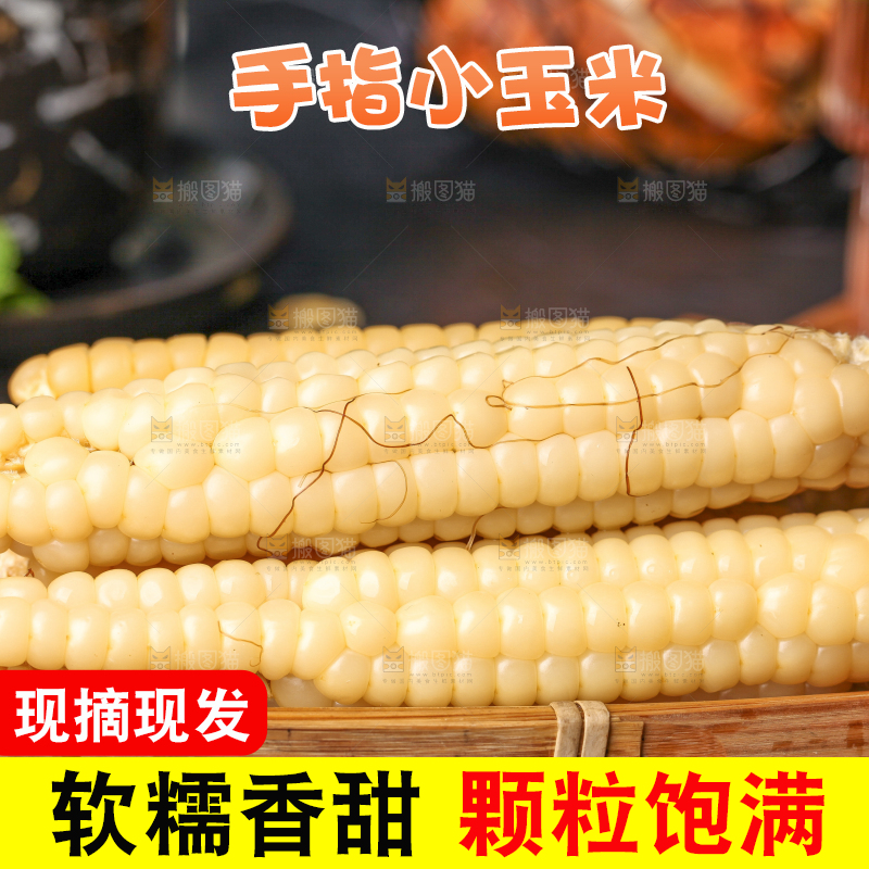深底上的拇指小玉米