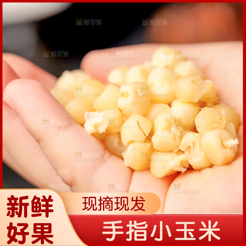 深底上的拇指小玉米