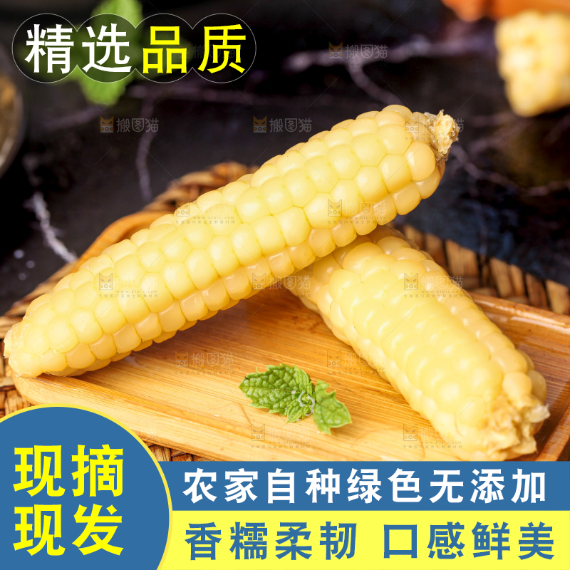 深底上的拇指小玉米