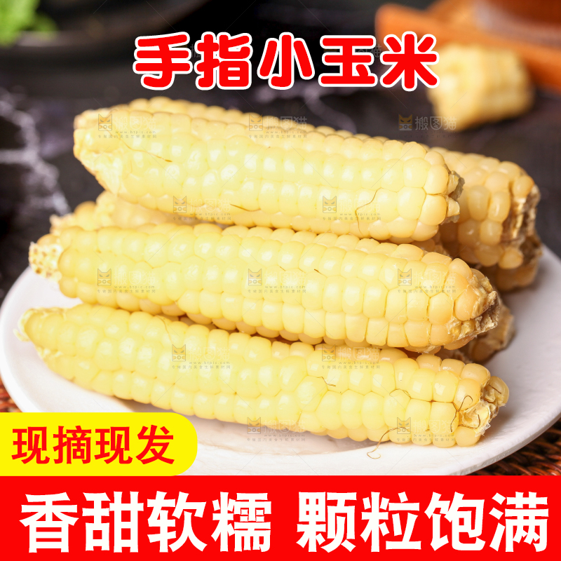 深底上的拇指小玉米