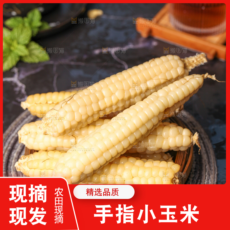 深底上的拇指小玉米