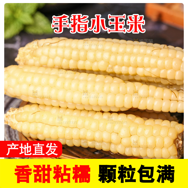 深底上的拇指小玉米