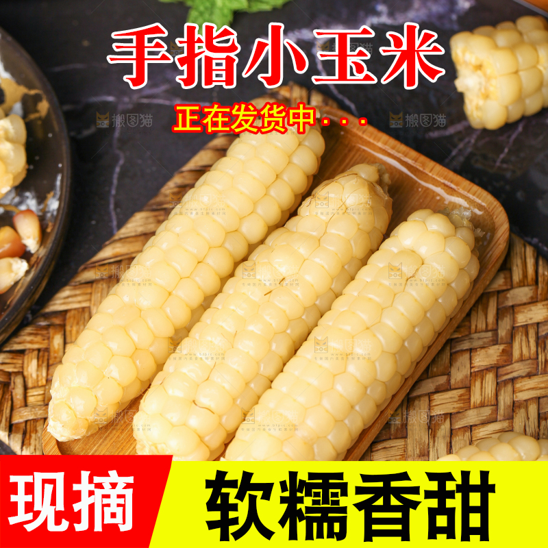 深底上的拇指小玉米