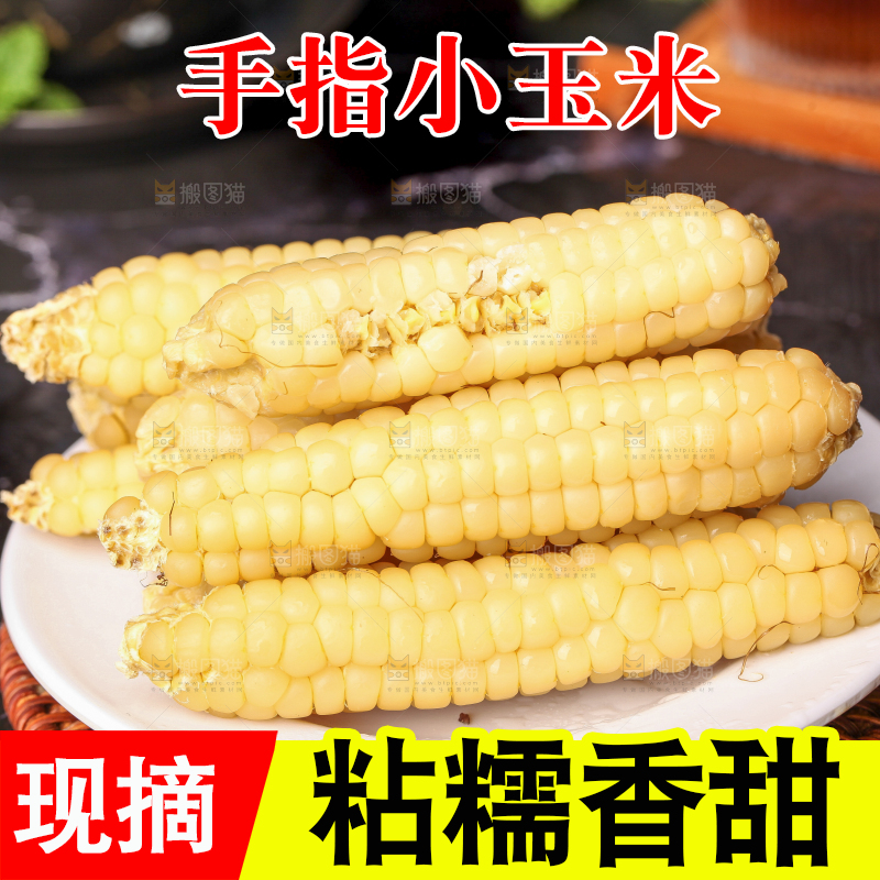 深底上的拇指小玉米