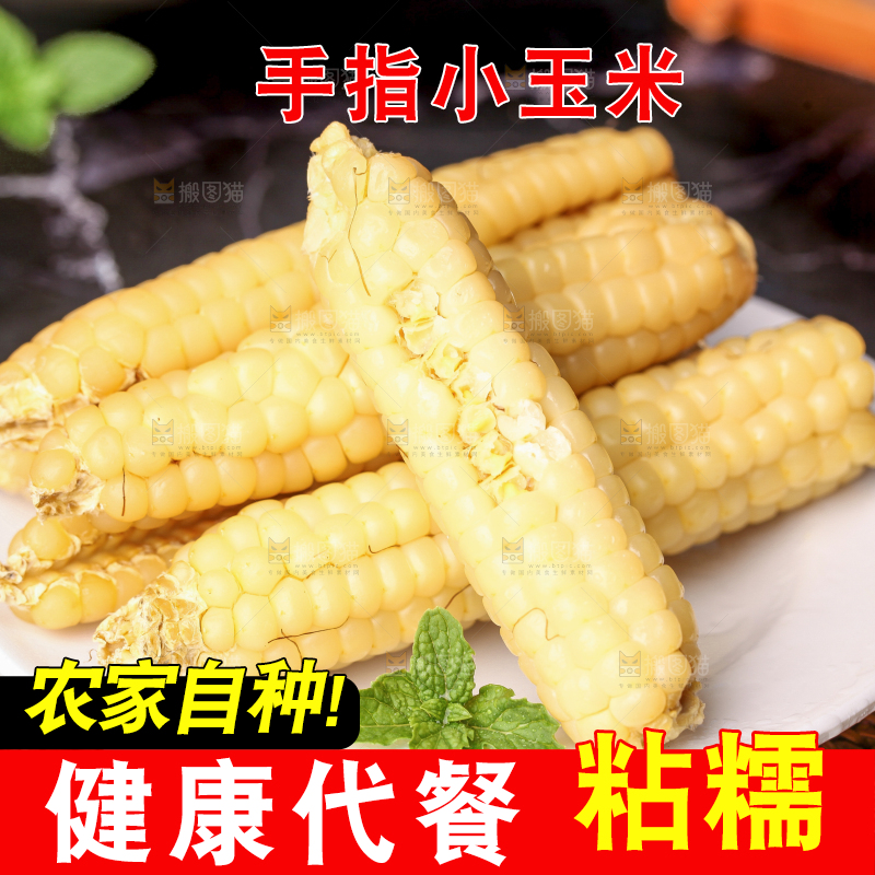 深底上的拇指小玉米