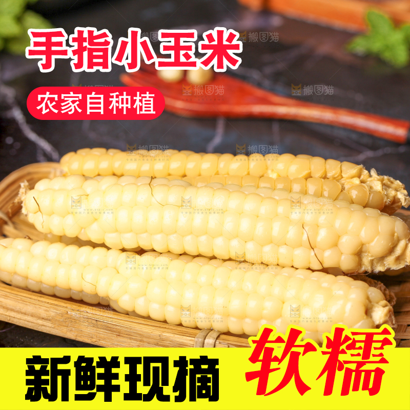 深底上的拇指小玉米