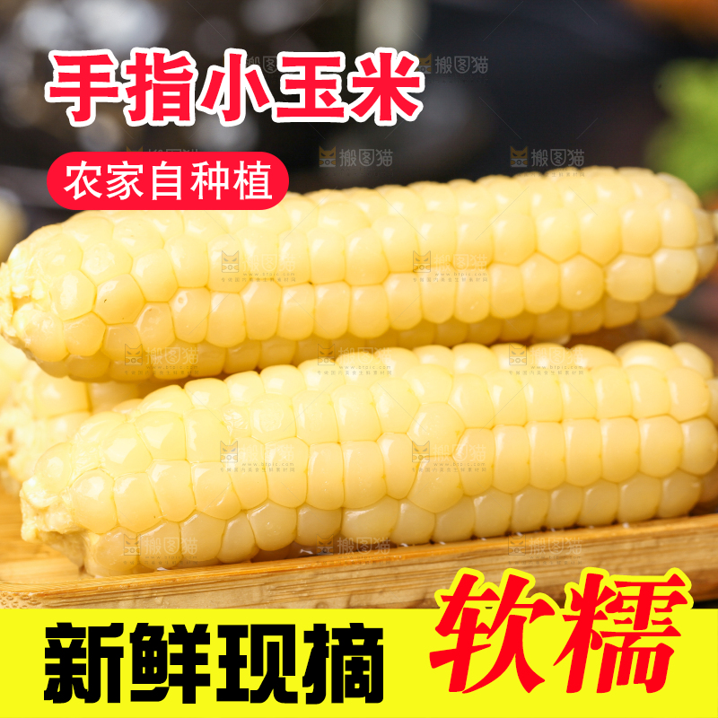 深底上的拇指小玉米