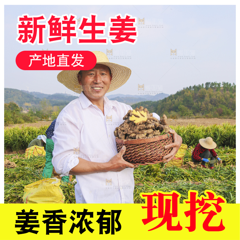 手里拿着新鲜生姜