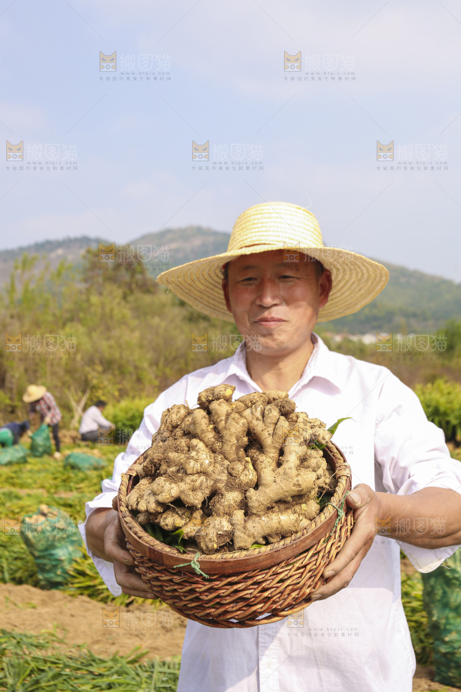 手里拿着新鲜生姜