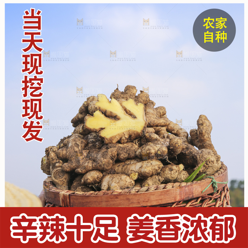 手里拿着新鲜生姜