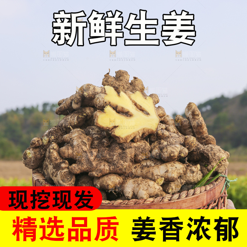 手里拿着新鲜生姜
