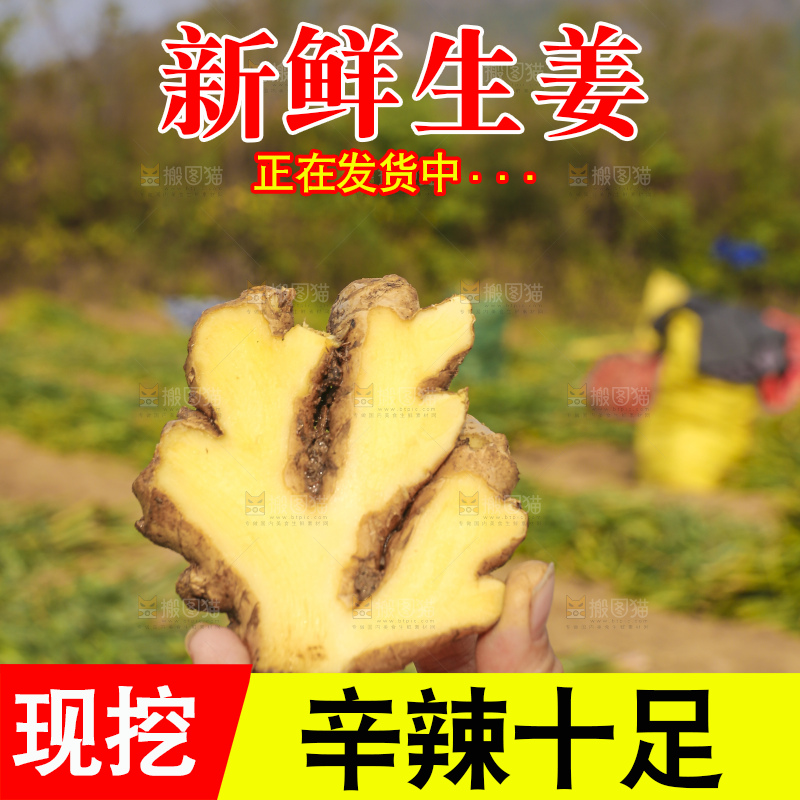 手里拿着新鲜生姜